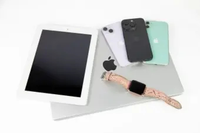 Apple Category